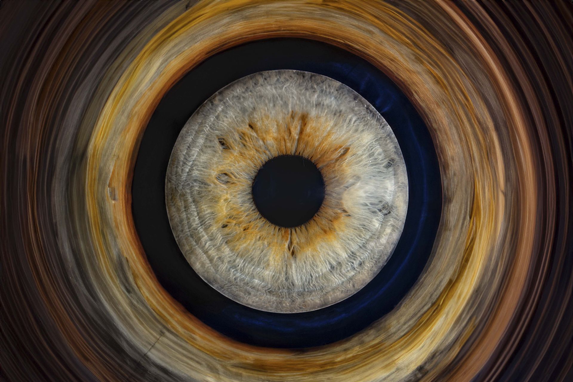 Abstrakte Iris – kräftige Farben