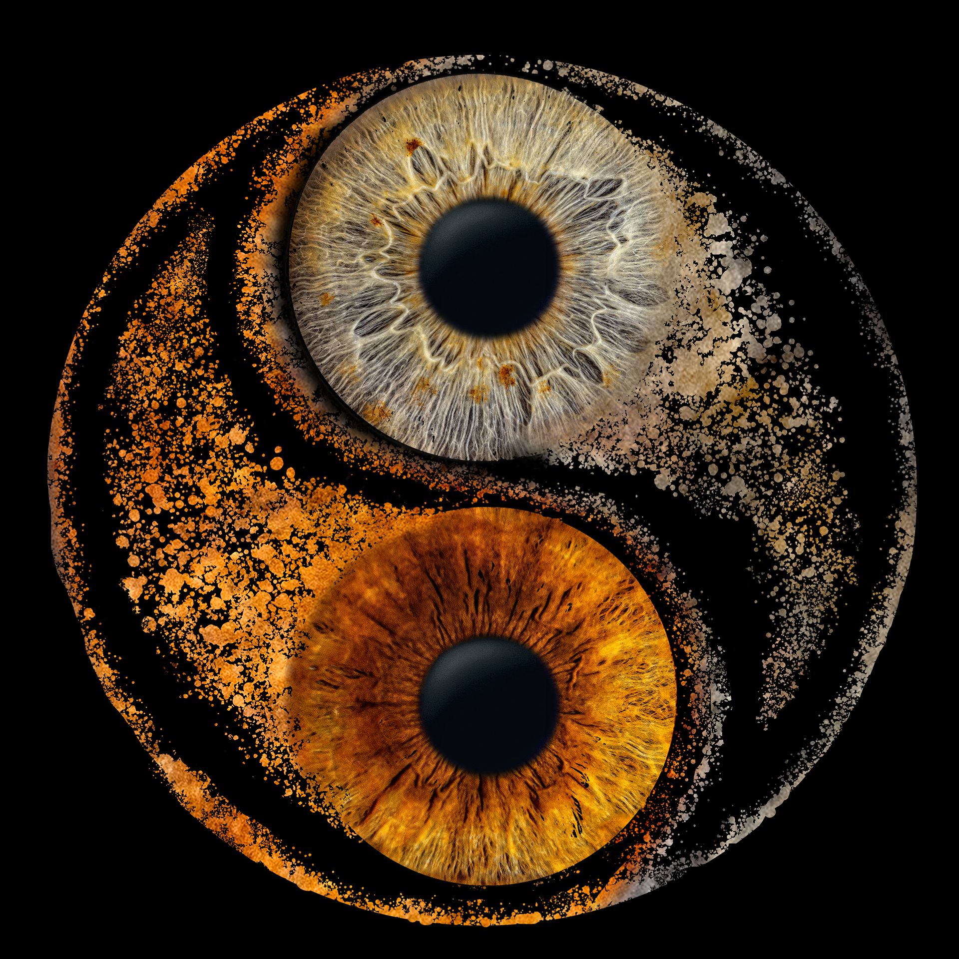Zwei echte Iriden als Yin-Yang-Komposition