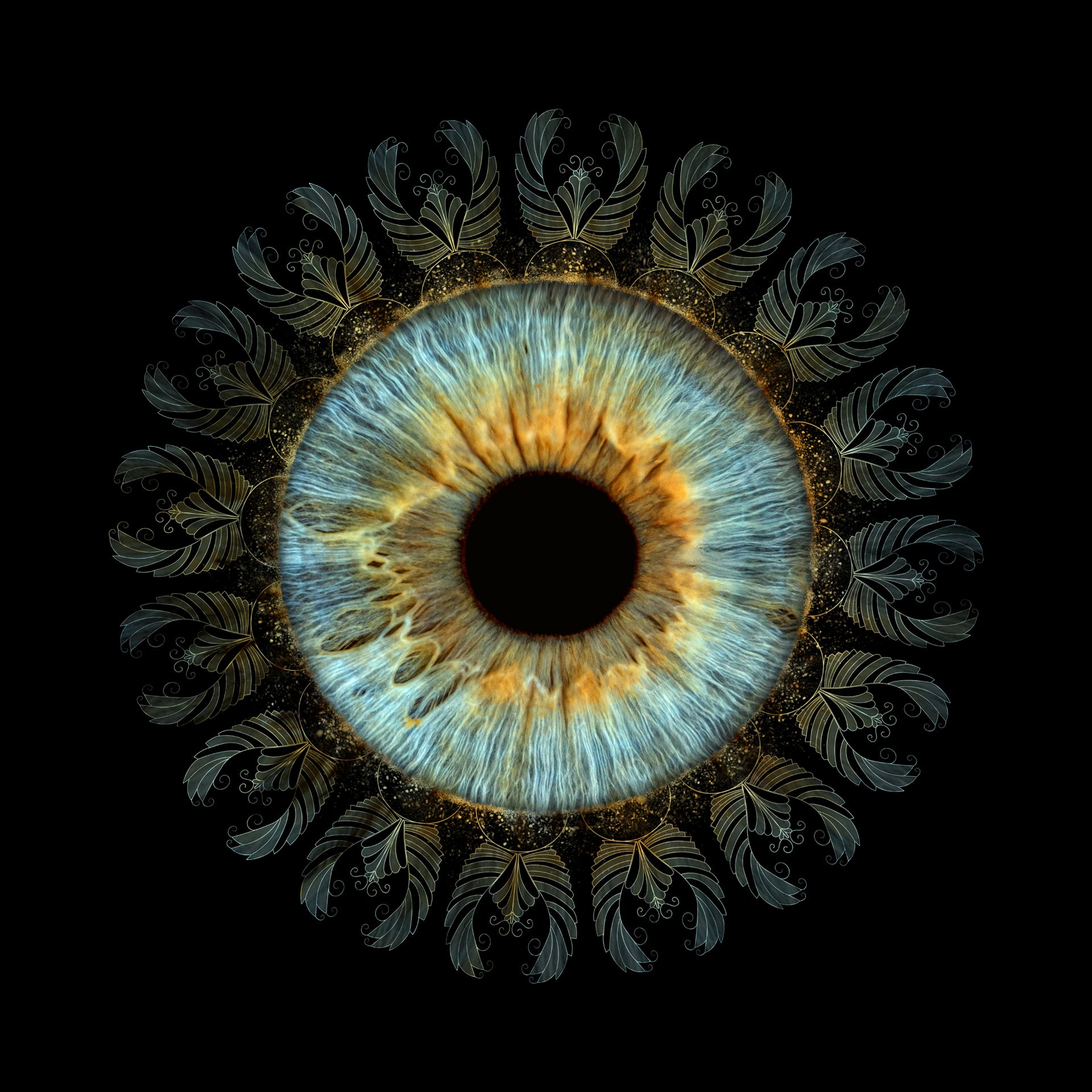 Mandala aus mehreren echten Iriden